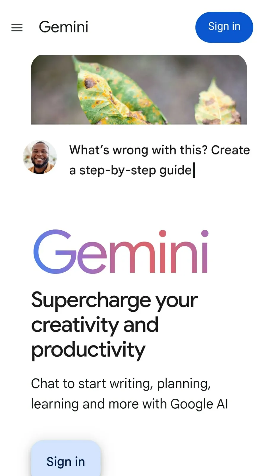 GemLite Access AI screenshot 2
